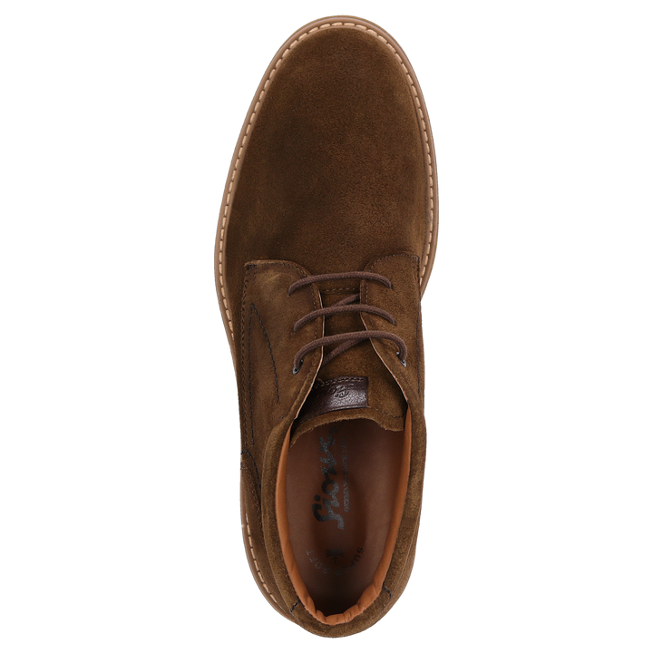 Sioux Encanio-714 pour homme, couleur marron – Vue de dessus