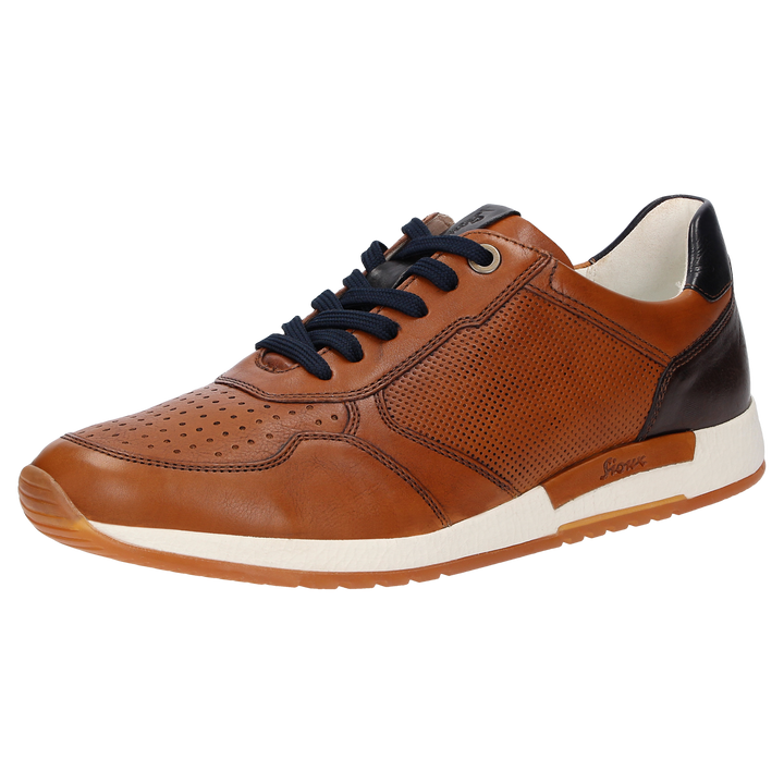 Sioux Rojaro-718 pour homme, marron