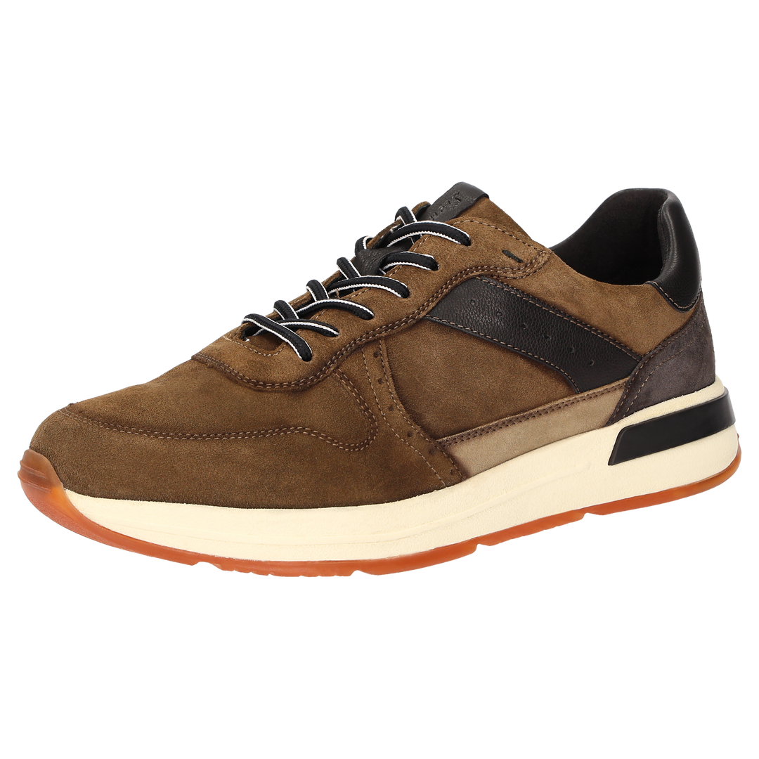 Sioux Rojaro-719 pour homme, couleur marron
