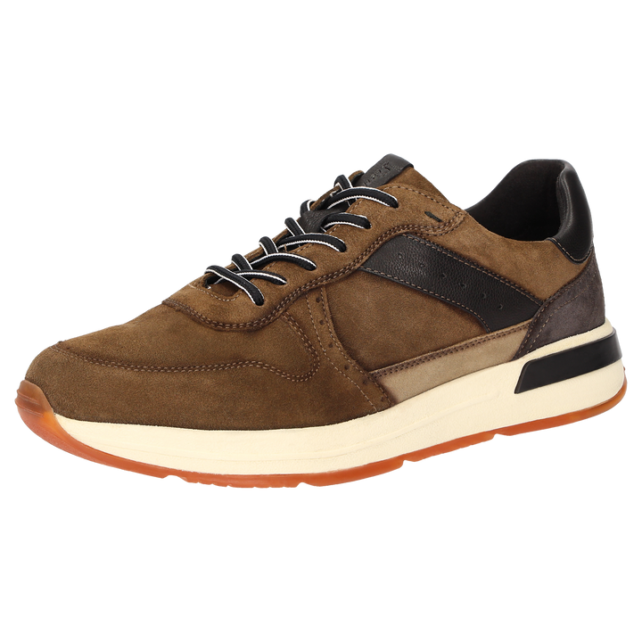 Sioux Rojaro-719 pour homme, couleur marron