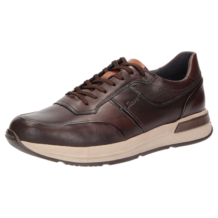 Sioux Rojaro-720 pour homme, marron foncé