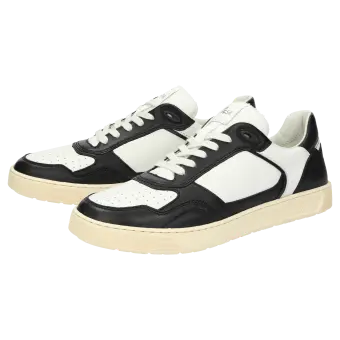 Sioux Schuhe Herren Tedroso-704 Sneaker schwarz 11391 für 99,95 € kaufen