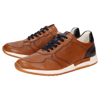 Sioux shoes men Rojaro-718 Sneaker brown 12240 for 129,95 € 