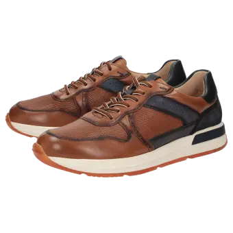 Sioux shoes men Rojaro-719 Sneaker dark brown 12445 for 99,95 € 
