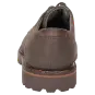 Sioux chaussures homme Adalrik-703-TEX-H Chaussure à lacets brun foncé 12462 pour 139,99 € 